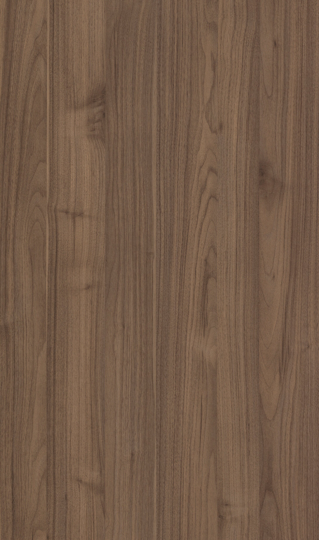 Nocce 2 — Frameless / European door