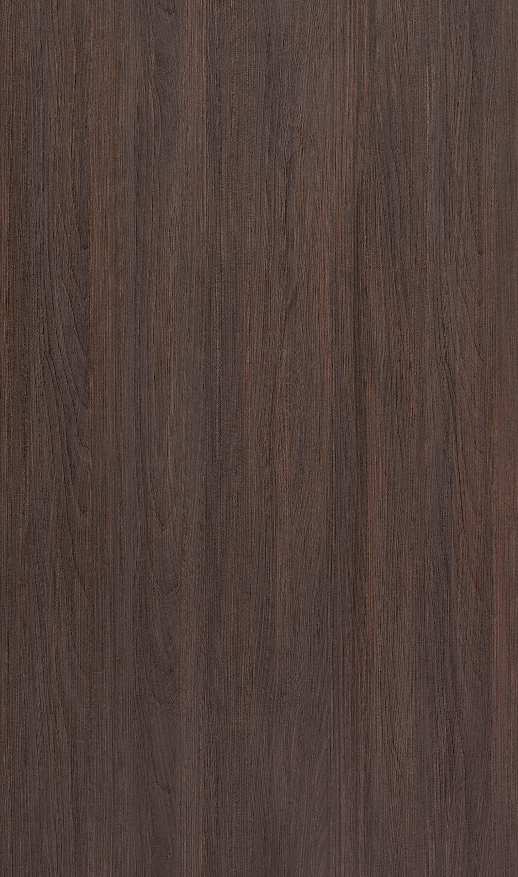 Olmo 2 — Frameless / European door